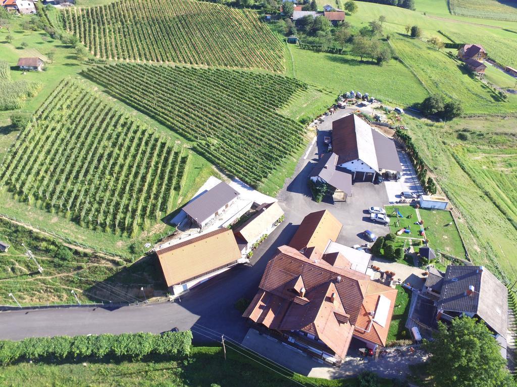 Guesthouse Kaucic Benedikt v Slovenskih Goricah Dış mekan fotoğraf