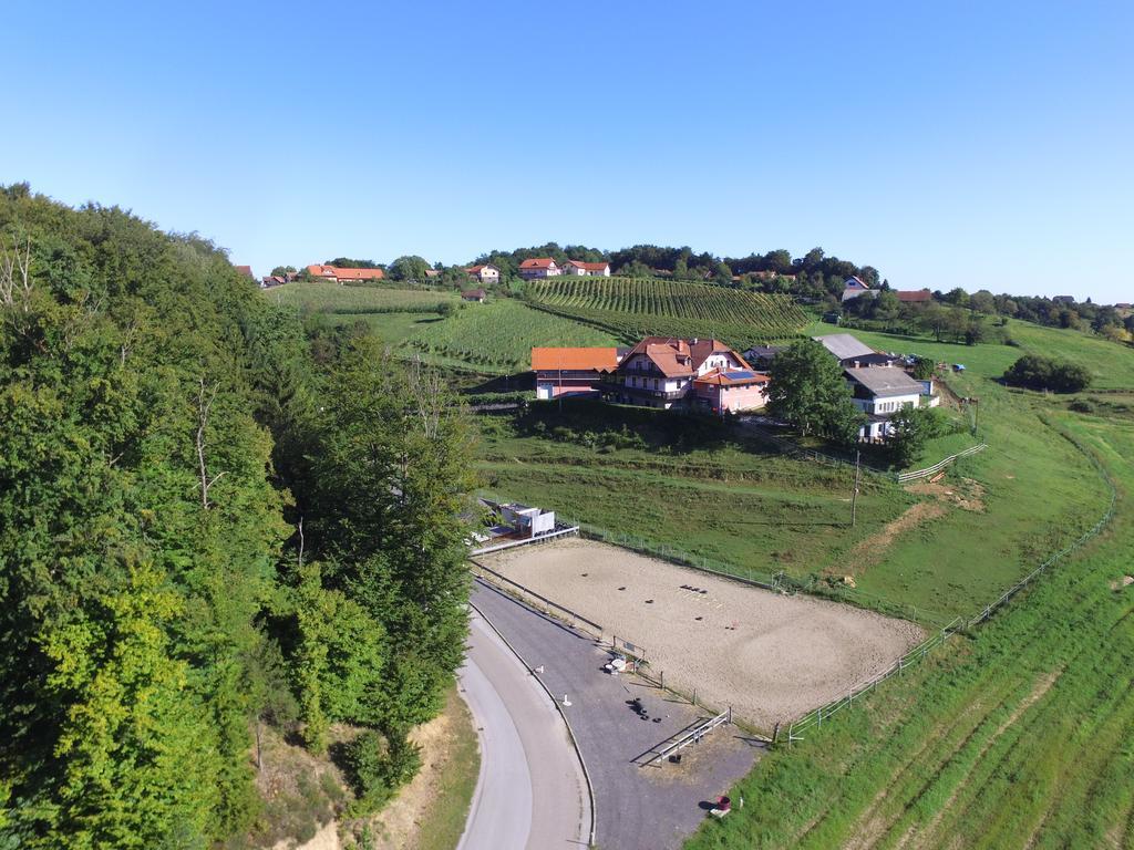 Guesthouse Kaucic Benedikt v Slovenskih Goricah Dış mekan fotoğraf