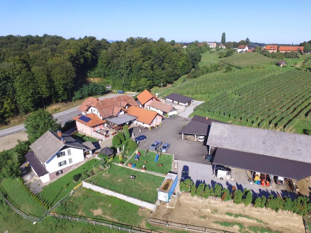Guesthouse Kaucic Benedikt v Slovenskih Goricah Dış mekan fotoğraf